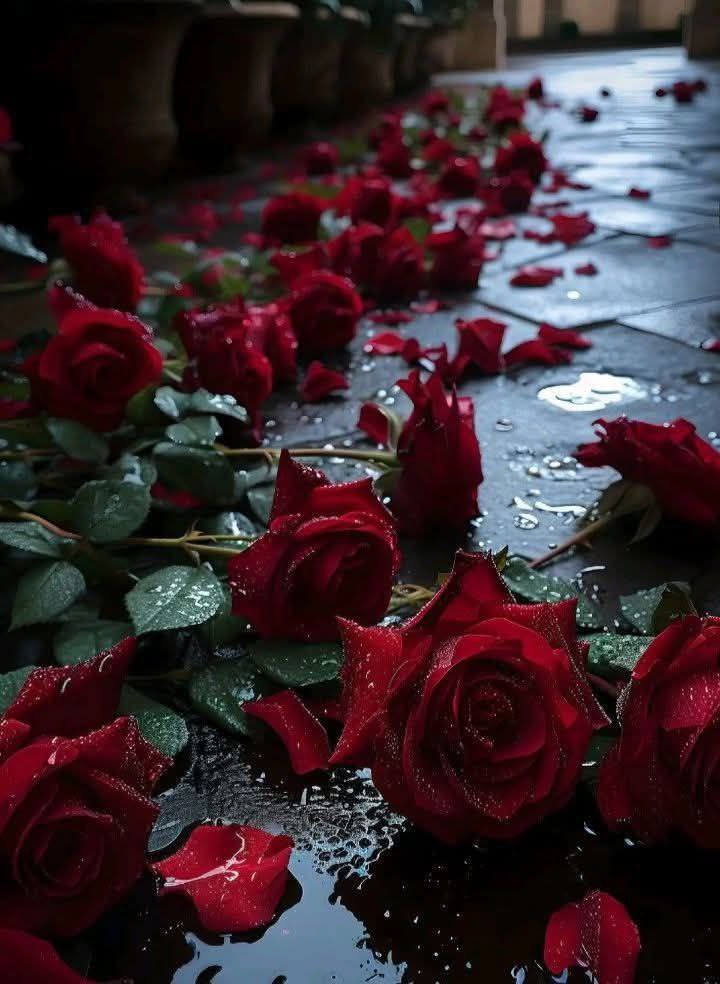 مساء الخير  ياهل الغلا و الذوق 
كلام  الحب لكم  شعر و خواطر
جيتكم امسي  والقلب كله شوق
ردو المساء أشواق تسعد الخاطر

     #مسساء الخير للجميع