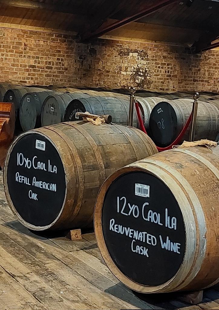 About to start: double bass at caol ila, jazz festival.