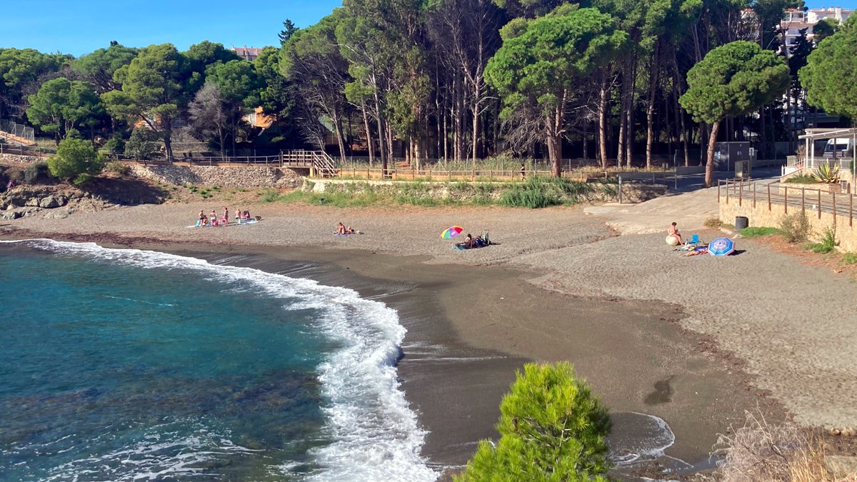 🏖️ Protesta en contra d'edificar a la platja de la Farella de Llançà

🎙️ Joan Sisquella | <a href="/radio4_rne/">radio4_rne</a> <a href="/SosCostaBrava/">SOS Costa Brava 🌊🌊 #ProuCimentMésPinedes</a> <a href="/IAEDENSalvemEmp/">IAEDEN - Salvem l'Empordà 🧡</a>

📻 rtve.es/a/16737851