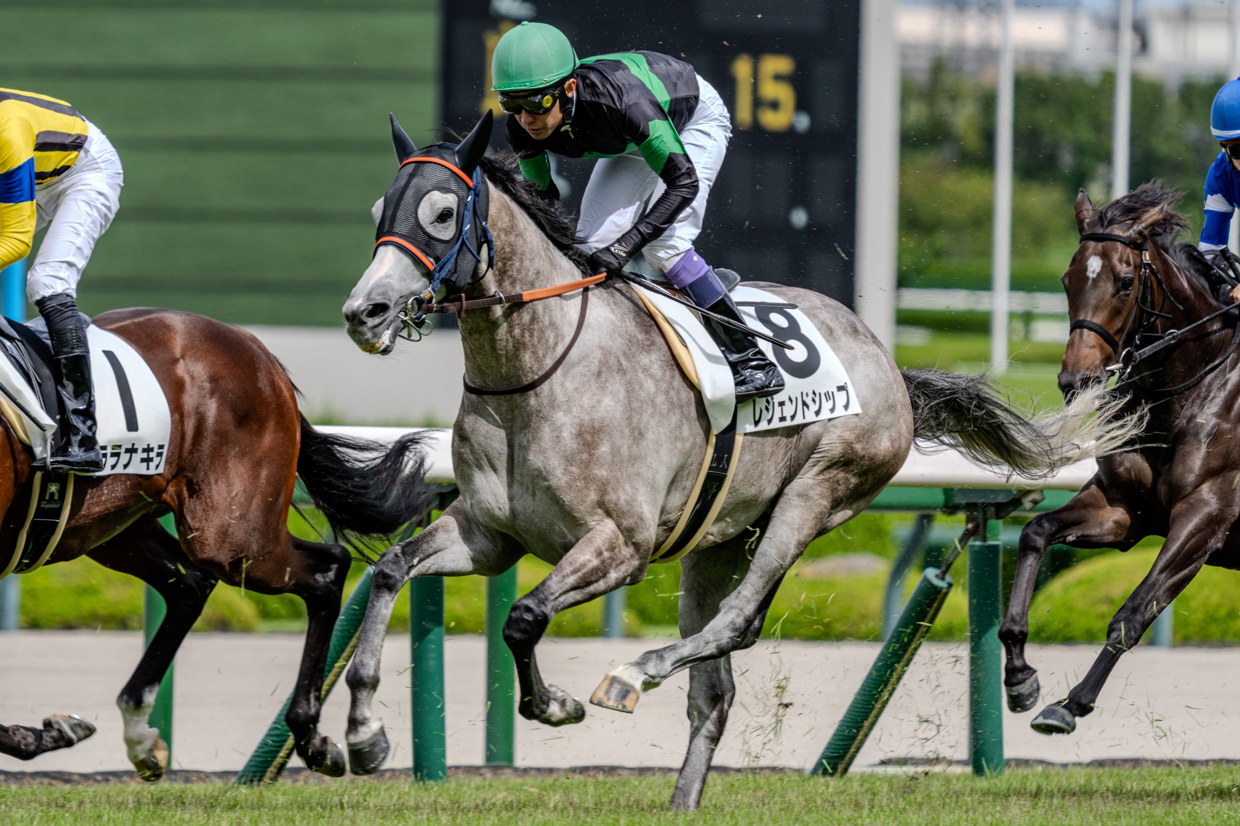 サンタの競馬　ゴールドシップ　デュラメンテ ビッグレッドファームの繋養種牡馬の産駒が勝利しました