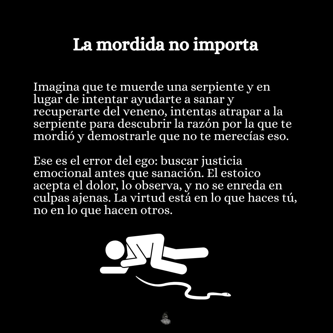 Mente Estoico tweet media