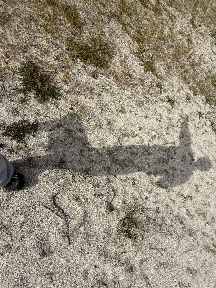 3回目のイナズマロックフェス ありがとうございましたーー