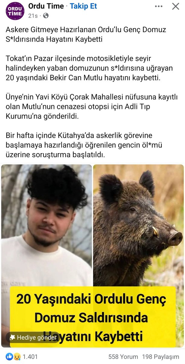 Başıboş itlerden sonra domuzlarda can almaya başlayacak demiştik. Şehirlere, ormanlık alanlara ve özellikle yol kenarlarına başıboş köpekler için yapılan usulsüz beslemelere domuzların ilgisi büyük.Kolay yem sayesinde sayıları artan domuzlar artık insan avlıyor. <a href="/tokatvaliligi/">Tokat Valiliği</a>