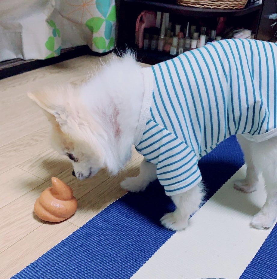 お爺、立派のをしましたね🫢