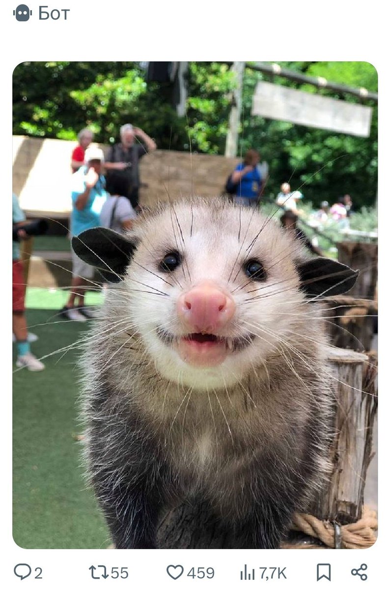 Не забывайте, что анонимы с 2 подписчиками, которые забивают реплаи, выглядят так