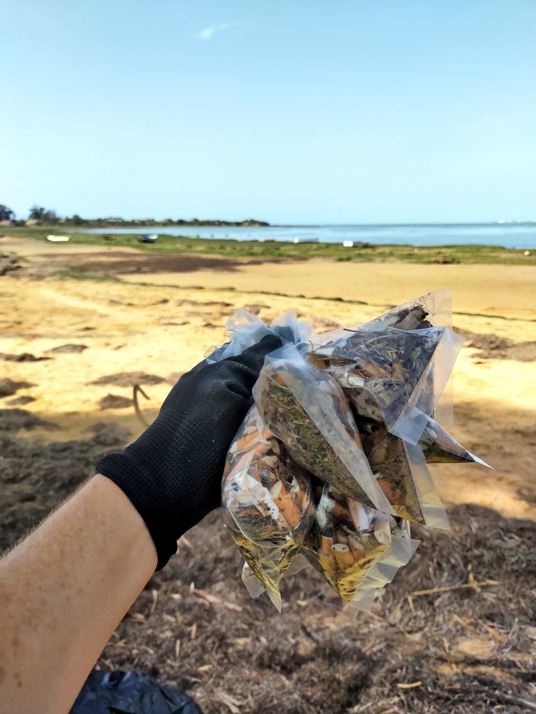 masqueveteranas's tweet image. Hoy hemos realizado una actuación para el Proyecto #Libera1m2 junto con nuestros amigos de Brazadas x Diversión 💙♻️💚 @ecoembes @SEO_BirdLife
