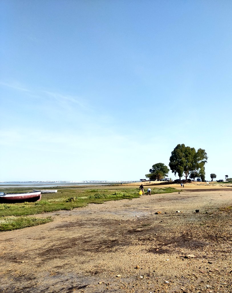 masqueveteranas's tweet image. Hoy hemos realizado una actuación para el Proyecto #Libera1m2 junto con nuestros amigos de Brazadas x Diversión 💙♻️💚 @ecoembes @SEO_BirdLife