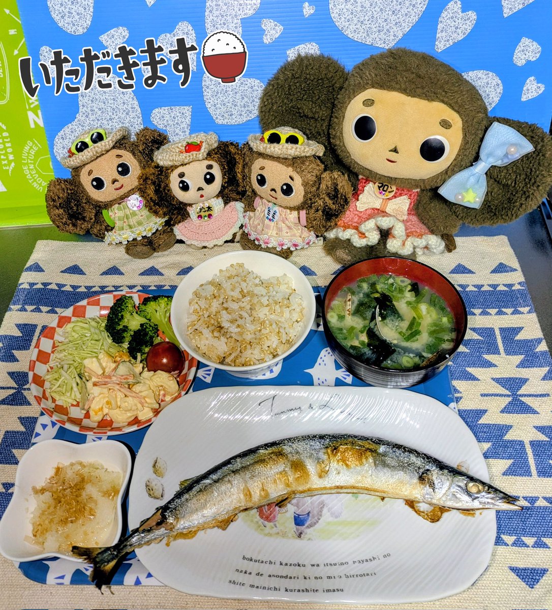 今年のサンマは大きいね〜𓆛
#チェブラーシカ
#よぴ家の日常