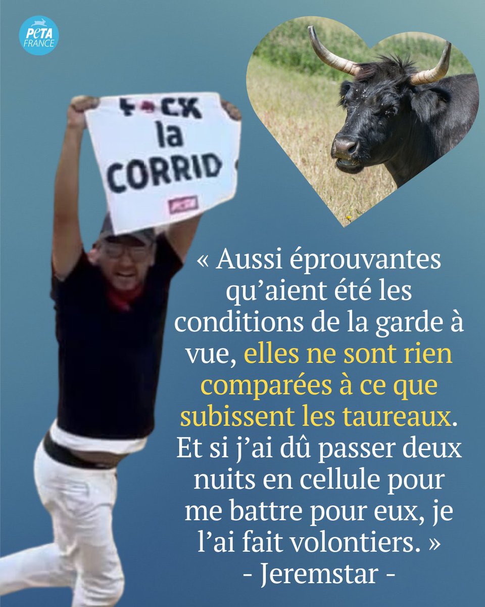 🎉 Jeremstar est libre !
Après avoir été retenus en garde à vue depuis vendredi soir suite à leur action courageuse contre la corrida à Nîmes, Jeremstar et deux autres militants ont enfin été libérés.
Leur combat juridique n’est pas terminé, mais ils peuvent désormais rentrer