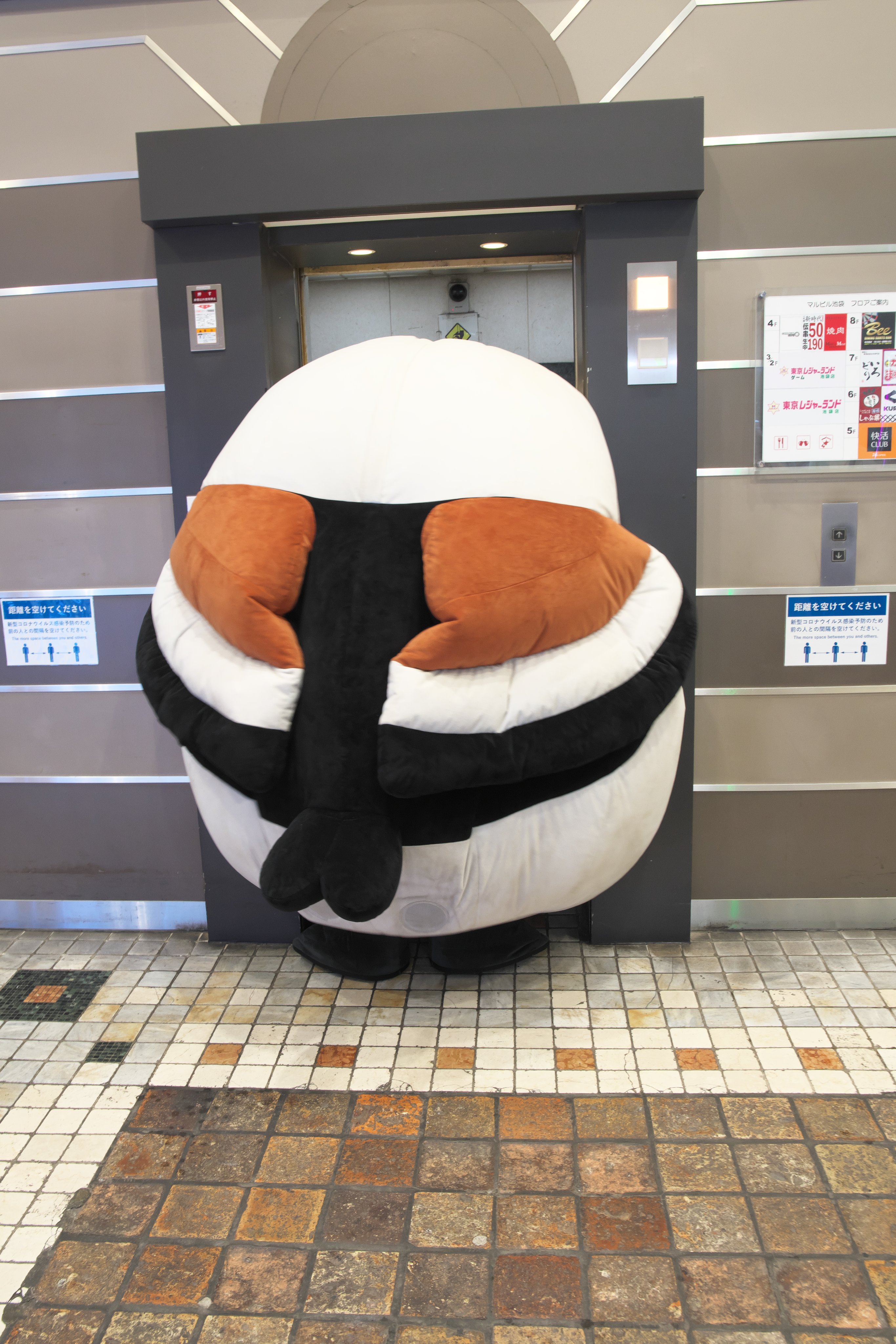 移動ポケット♩シマエナガちゃん✧︎タグつき 楽天市場】移動ポケット ショルダー 紐付き えながちゃん