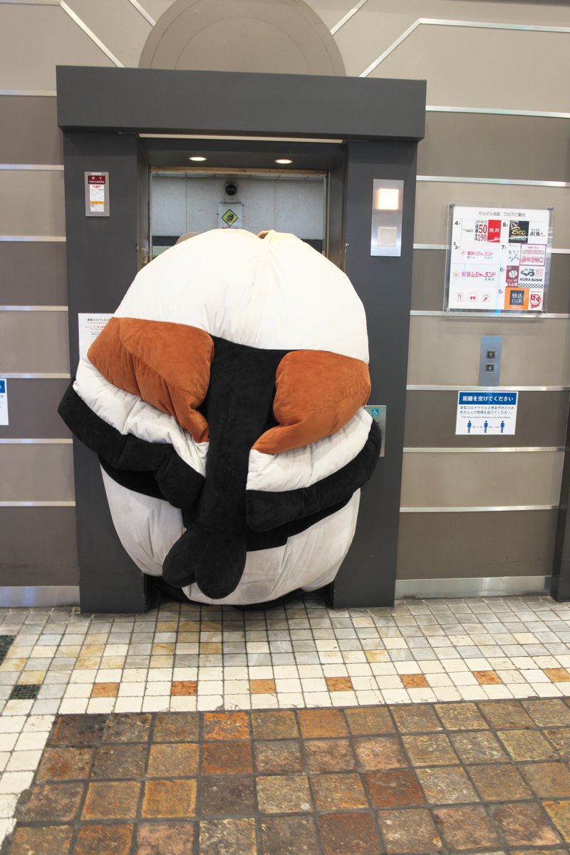 池袋には昨日今日と
ふくふくシマエナガのシマちゃんも来ていて
エレベーターで頑張って帰っていきました