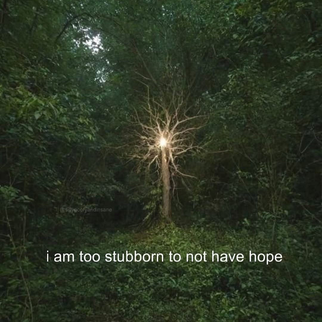 The Fourth Way (@the4thwayyt) on Twitter photo 