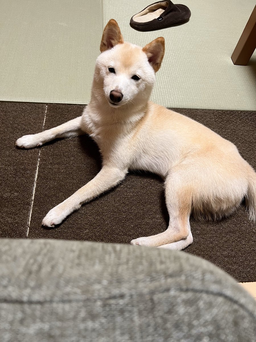 眠いなら自分のベッドで寝ようよ