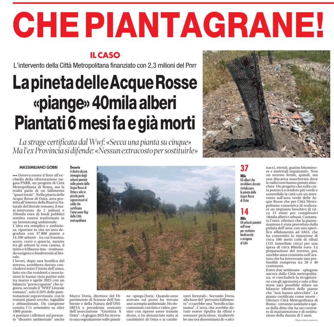 MarcoADoria1's tweet image. Doveva essere il fiore all&apos; occhiello....Io ho fatto la mia parte mettendoci la faccia e non solo quella, da Giugno non mi sono risparmiato un solo giorno per venire a capo di questa incresciosa situazione, ho rinunciato alle vacanze estive.
IL PIANTAGRANE
#Marcodoria