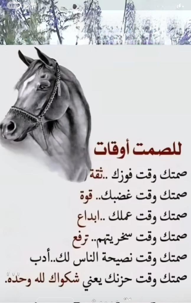 Saleh2008harb's tweet photo. #الصمت_حكمه https://t.co/pmmZZFLLdh