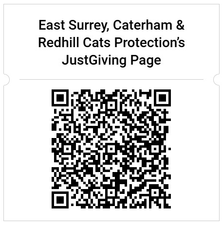 EastSurreyCP's tweet image. Want to help cats? Why not support our 24 hour video game marathon fundraiser? With so many cats coming into our care, we need your help!

justgiving.com/page/halloween…

Thank you

#GamingLeabo1985 #Squishalski #CatsProtection #CatsProtectionEastSurrey #StreamForCats #CharityStreamer