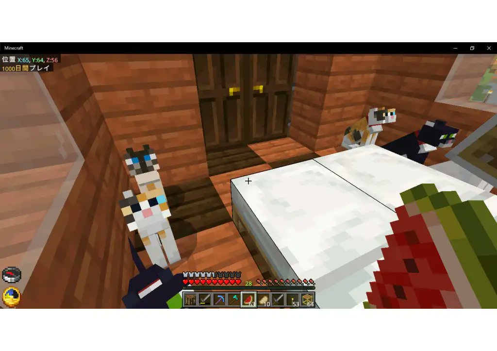 エンパもブレイズロッドもいっぱいある。
だけど何故かどちらもエンドラ倒すとか、エンド行くとかしないまま、プレイ日数１０００日突破した相方とのワールド😂