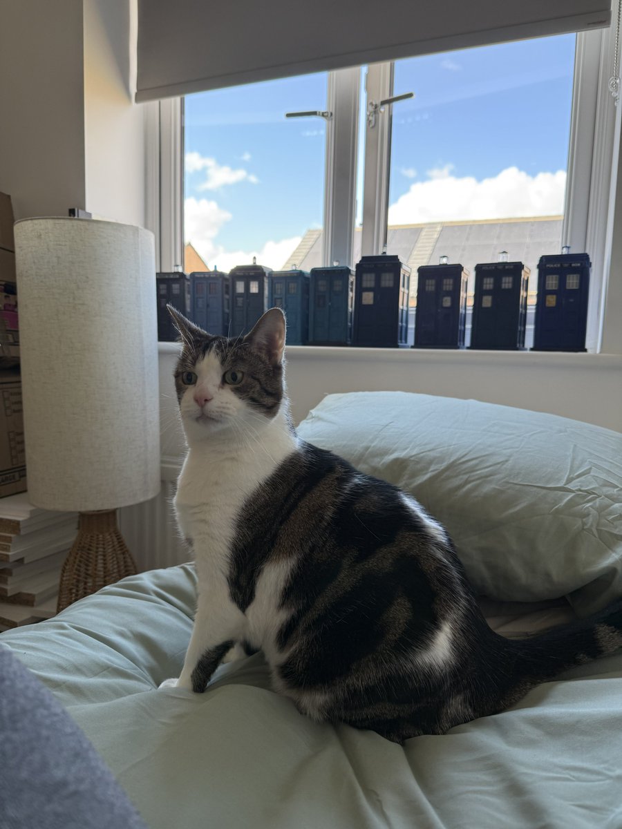 Ash (@ashmcwrites) on Twitter photo 