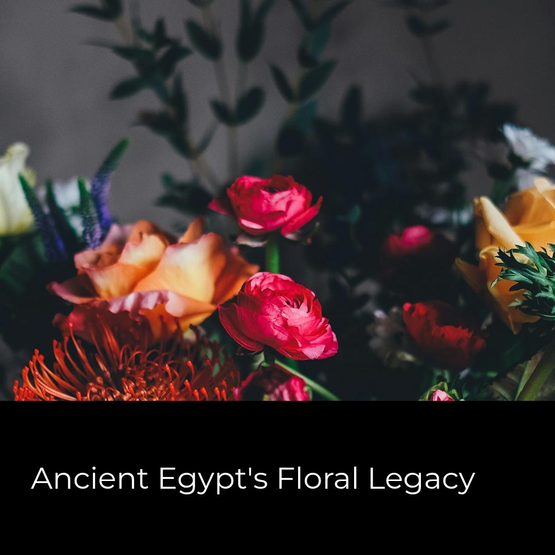 Did you know the oldest florist shop dates back to ancient Egypt? At DGM Flowers, we infuse every bouquet with this timeless artistry and meaning. 🌸✨ #FlowerFacts fortlauderdaleflorist.com