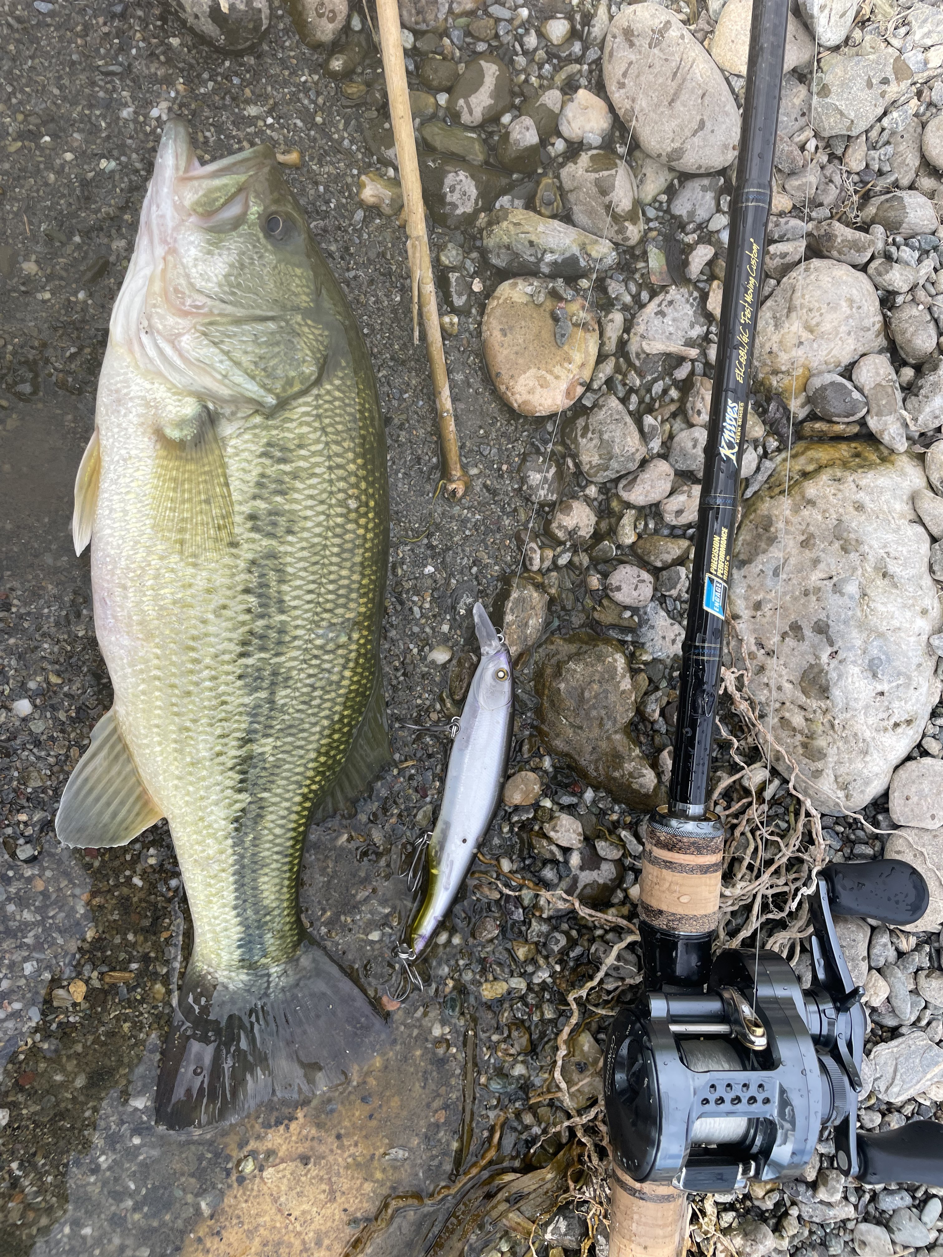 Nishine Lure Works (@Beatour27) / X