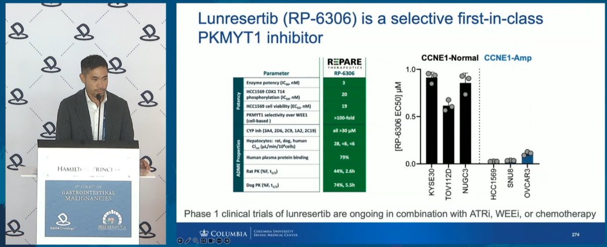DAVAOnc's tweet image. CCNE1 amplification (~4–10% of esophagogastric cancers) is linked to CIN, poor prognosis & resistance. At #DAVAGI, @RyanMoyMDPhD @columbiacancer discussed PKMYT1 inhibition with lunresertib(RP-6306), showing preclinical activity & synergy with anti-PD1.