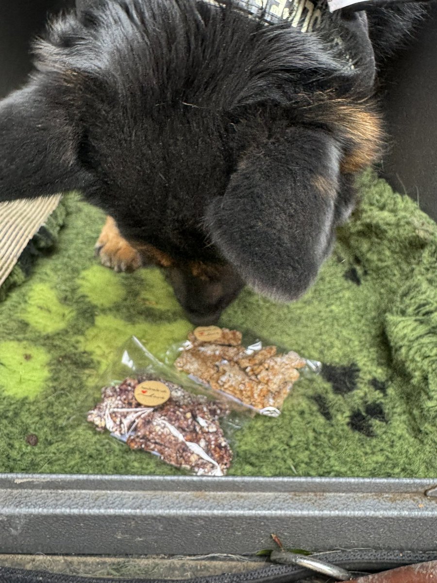 Mum took me to Charwell open day , I loved looking round , meeting everyone and choosing all my treats 💙🐾