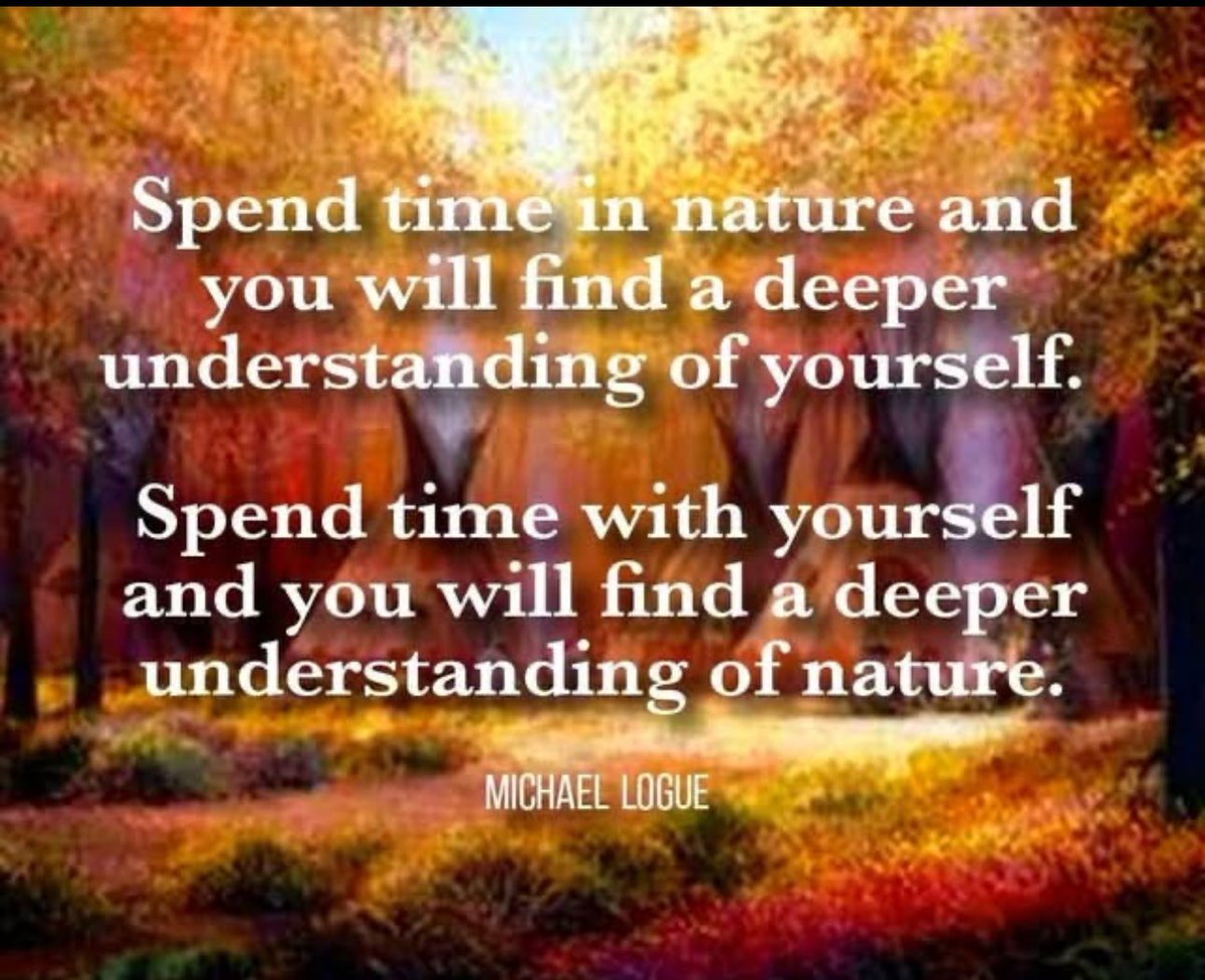 martincottle7's tweet image. Good morning, beautiful spirit. You are nature. Have a blessed day.🕊️🌳♥️🕊️