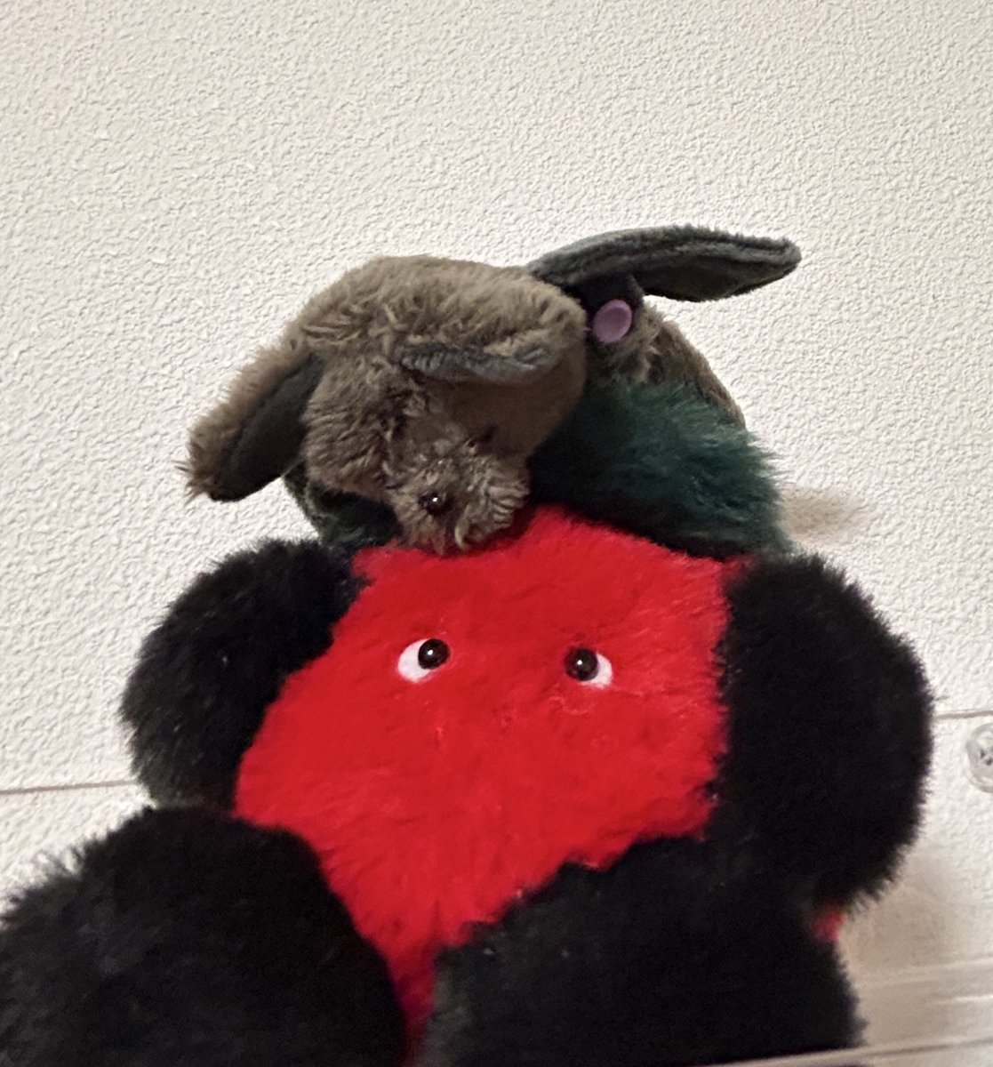 🍅🦇吸ってる！吸ってる！
#みんなのおもちゃばこ