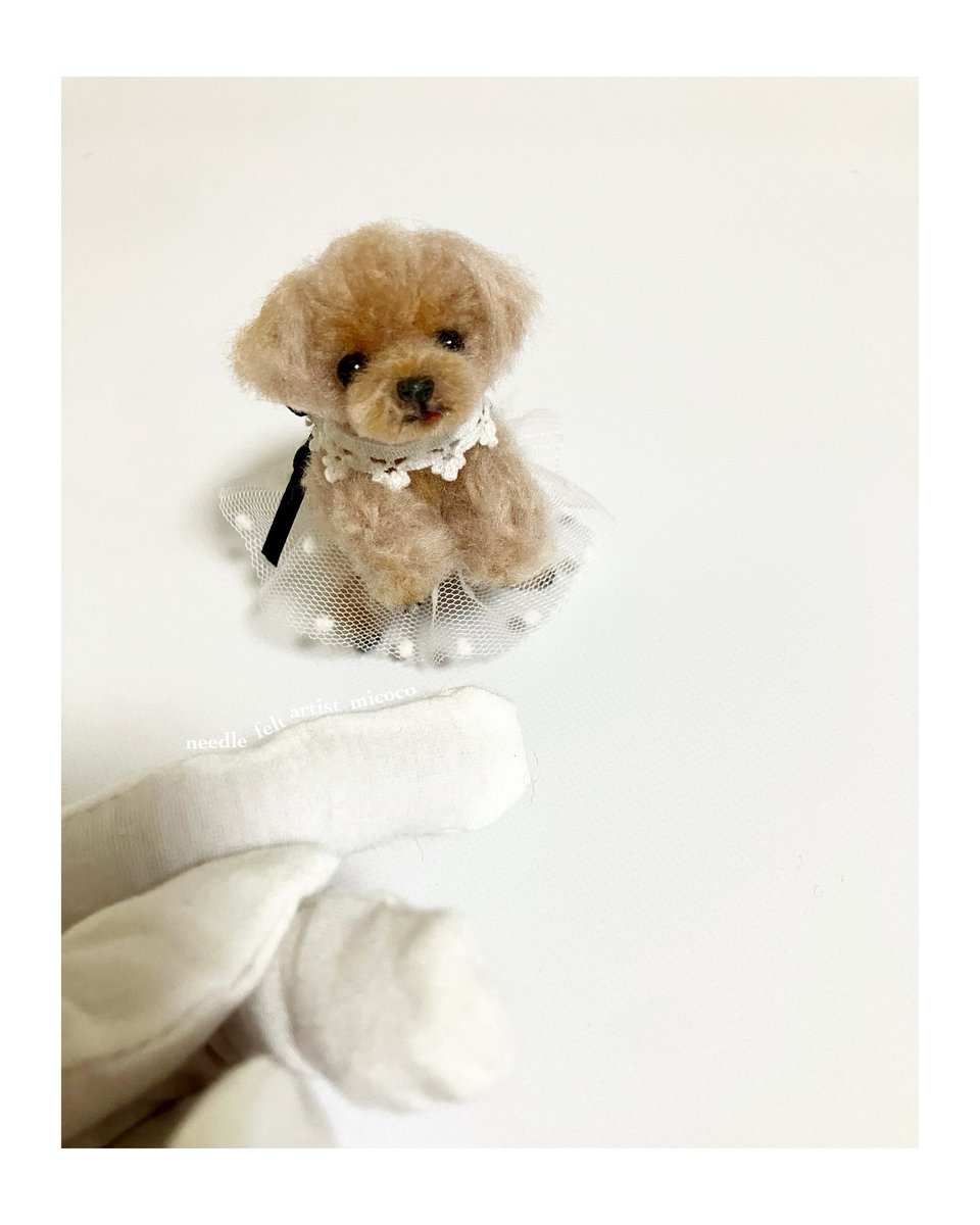 dog_micoco's tweet image. #うちの子オーダー受付中 #羊毛フェルト犬 
#羊毛フェルト作家みここ #今日のわんこ 
#トイプー 

立っちして
お菓子をおねだりするわんこ🤭