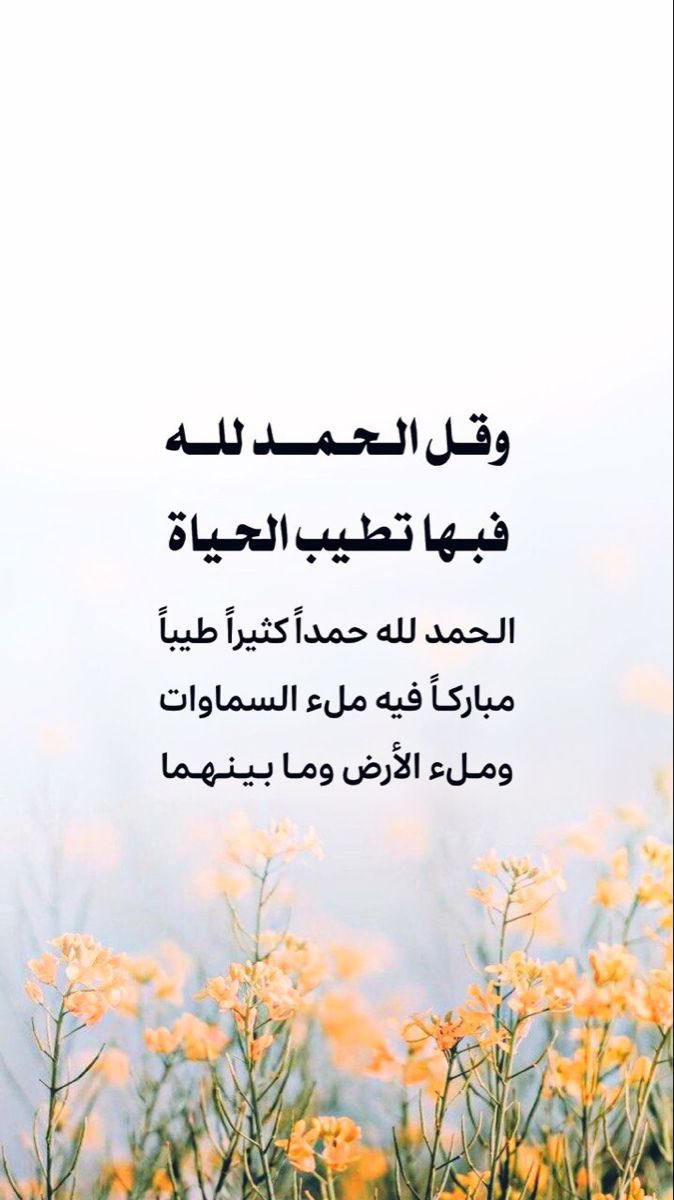 🕊 (@miss_beebi) on Twitter photo 