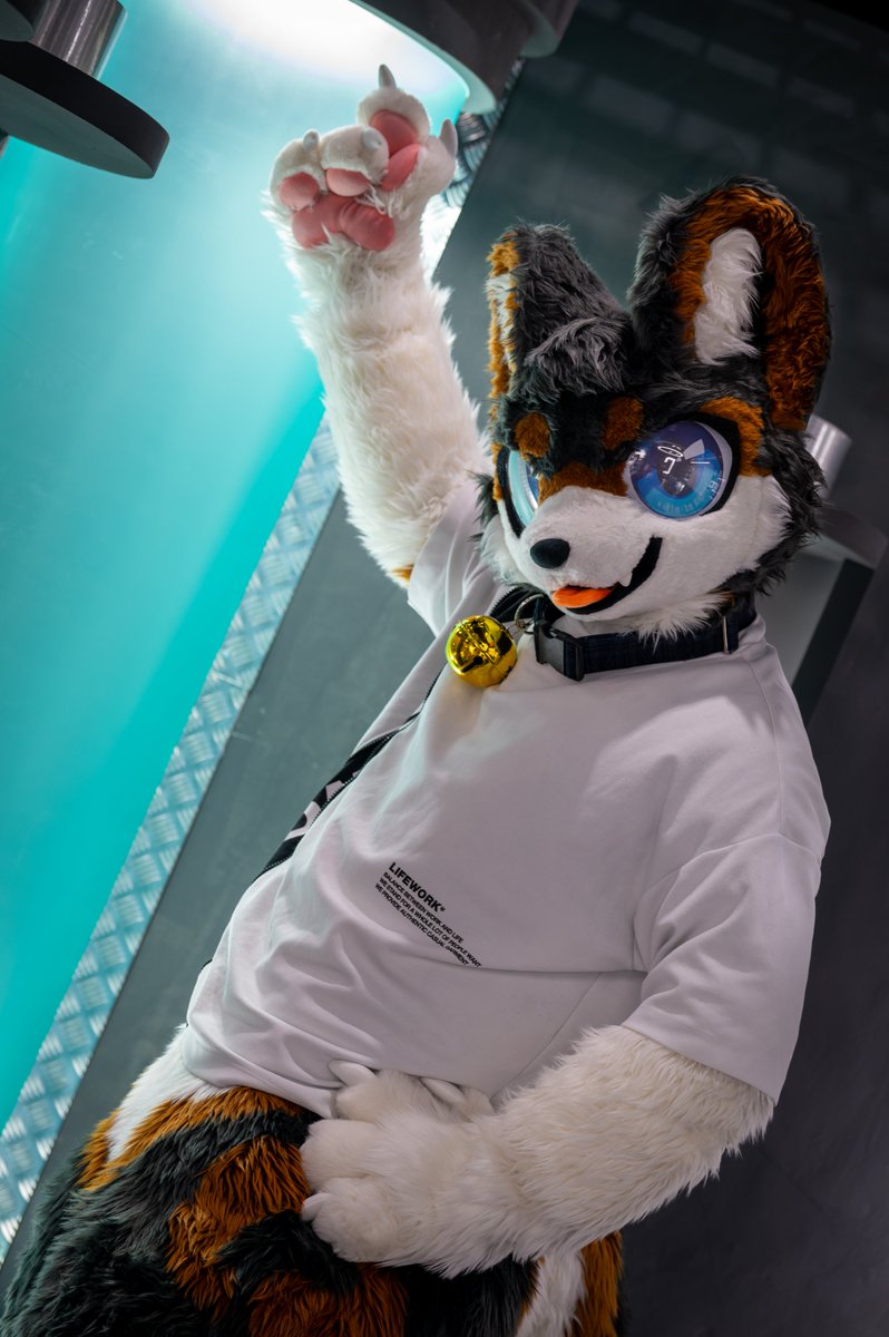 #FursuitEveryday 
📸<a href="/Phto_neru/">📷네루😶‍🌫️ 🔜 11~12월까지 행사 동결</a> 

다음 실험체는 너야?