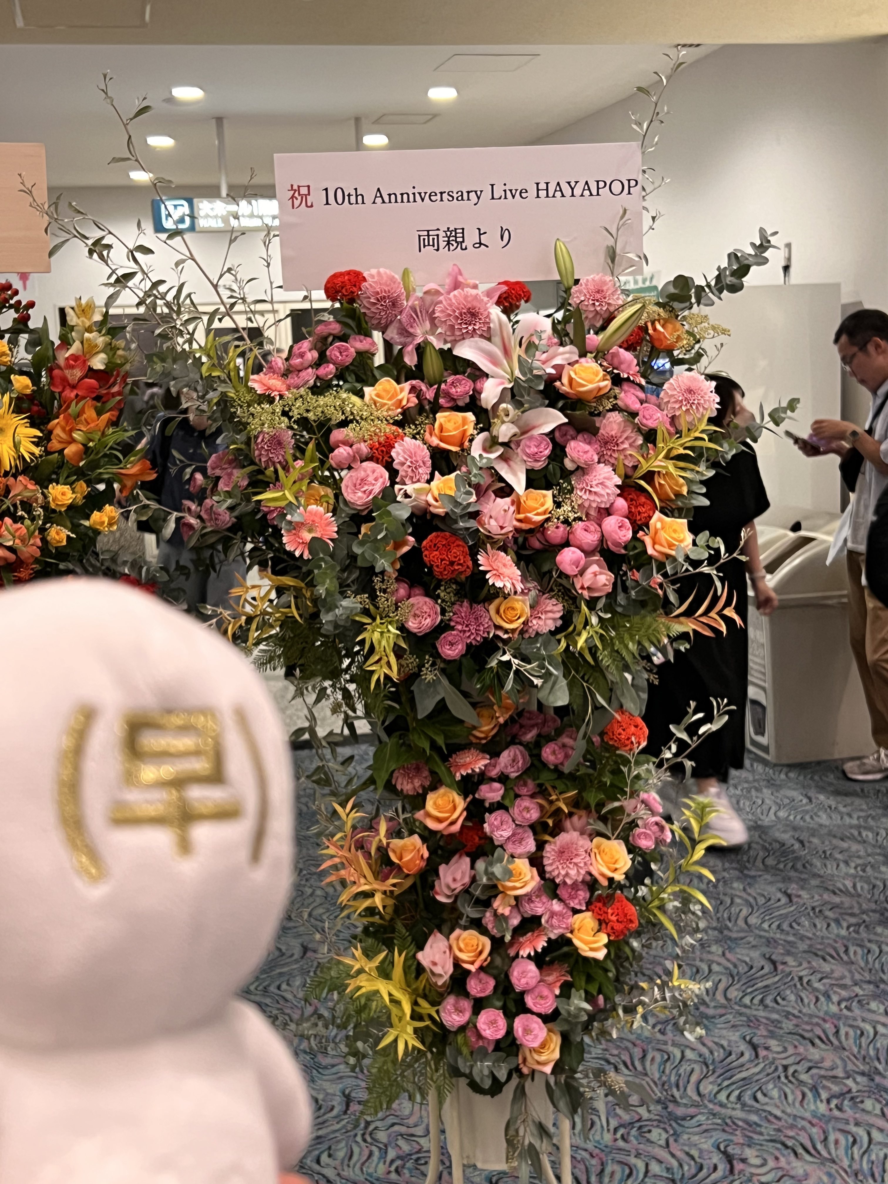 新品未開封品】早見沙織 グッズ (早)ぬい 10th ゴールド ver