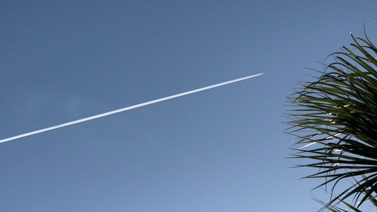 vtdaga's tweet image. JUST NOW! Palm Beach Gardens FL Sunday 9/21 8:45am 😡

@GovRonDeSantis @realDonaldTrump @itsmarlamaples @Chemtrail101