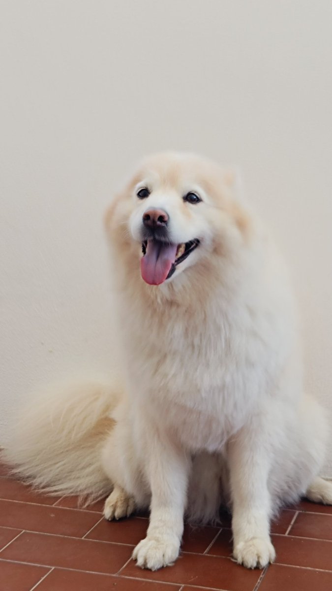 floof