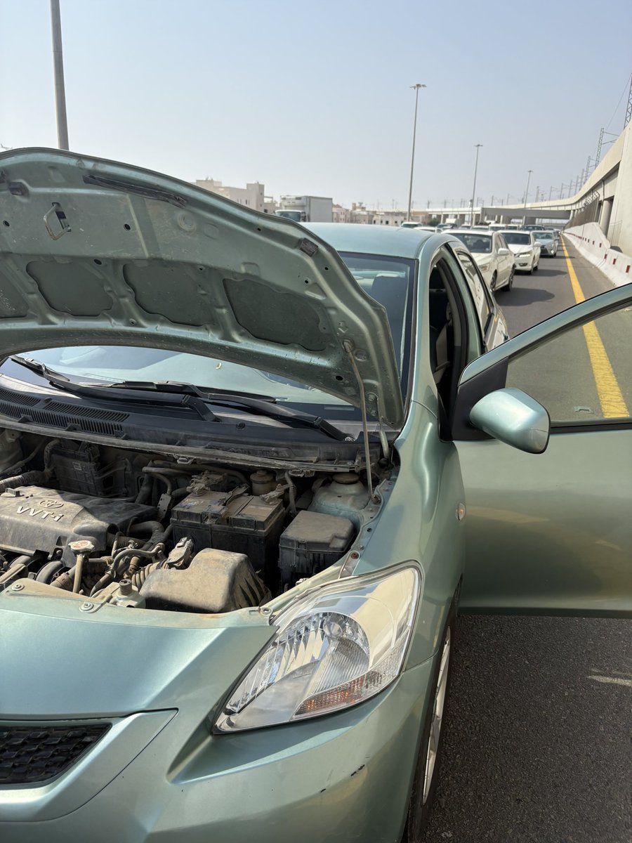 ᴹᵀ Twlf tweet media