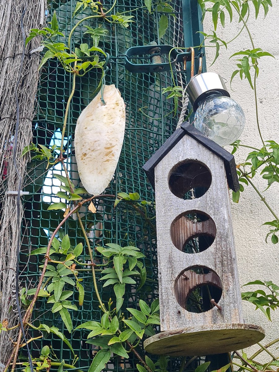 J'ai ramené un cadeau pour les oiseaux .  . .