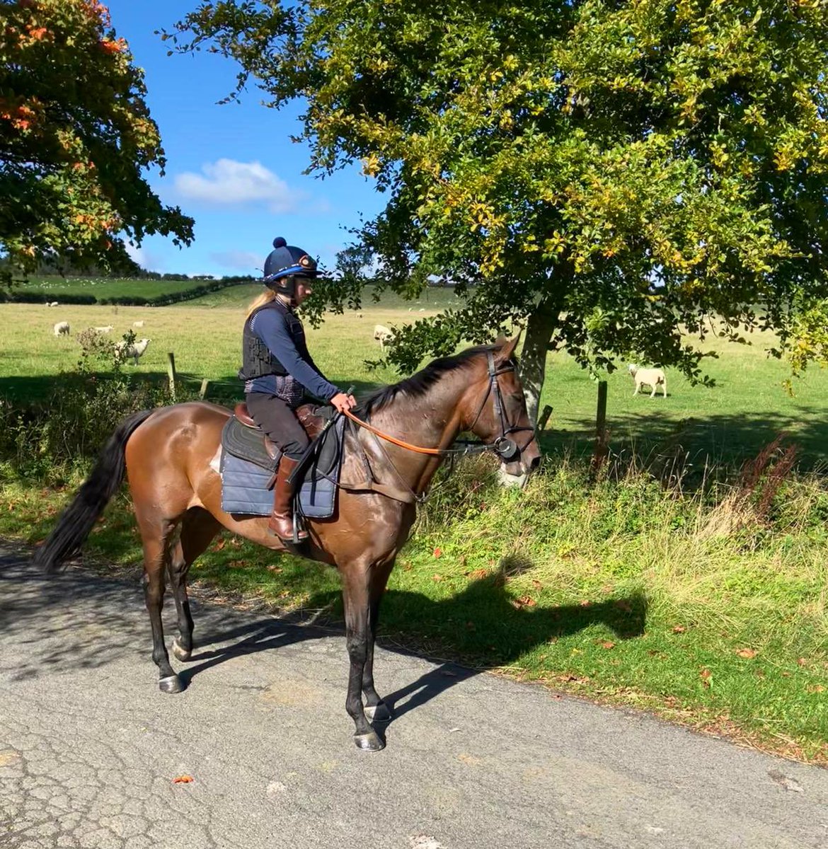 Jackie Stephen Racing tweet media