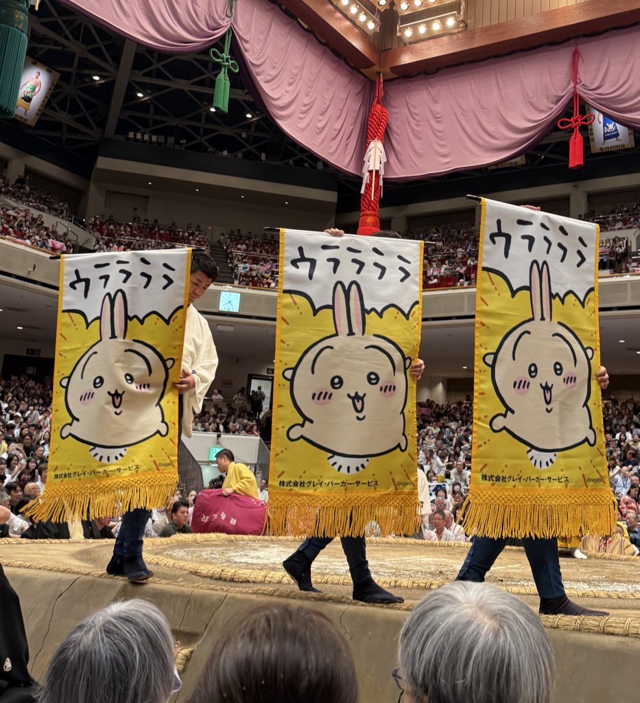 伊藤悠真 tweet media