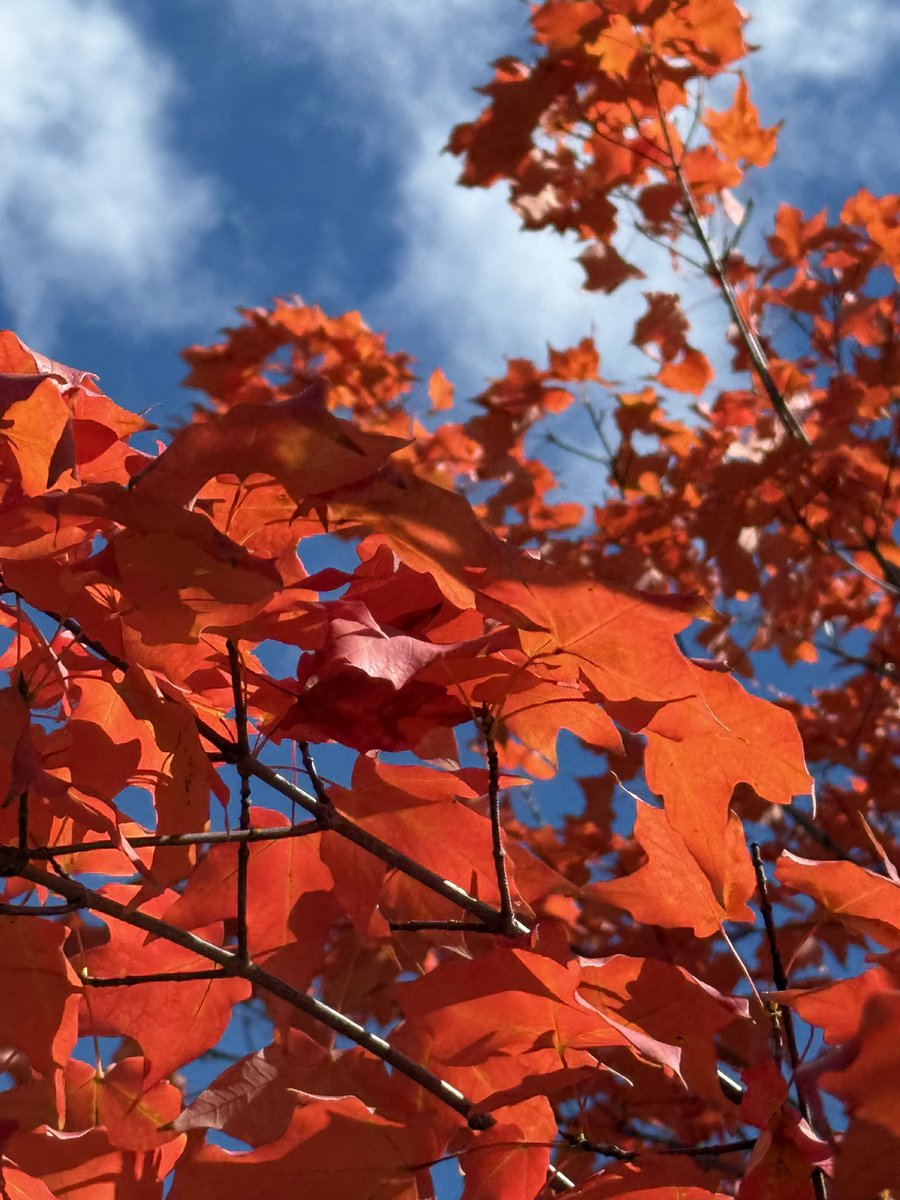 Happy Fall, y’all!