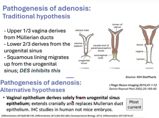 Janira Navarro tweet media