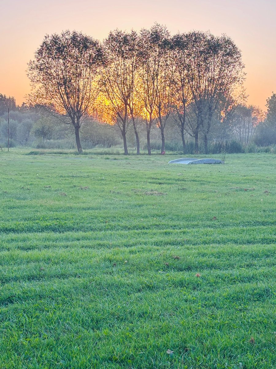 Rameshbhimtal's tweet image. प्रकृति के कितने रंग 
#srinagar 
#naturevibes