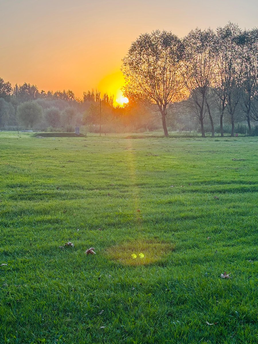 Rameshbhimtal's tweet image. प्रकृति के कितने रंग 
#srinagar 
#naturevibes