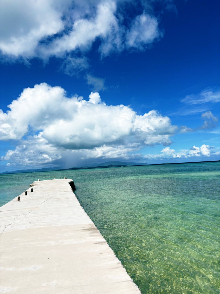 竹富島でパフェ食べて涼んでから海までお散歩！景色はマジ最高やったよ👍
だけどあまりの暑さに
かき氷食べに入ったよ笑

#竹富島