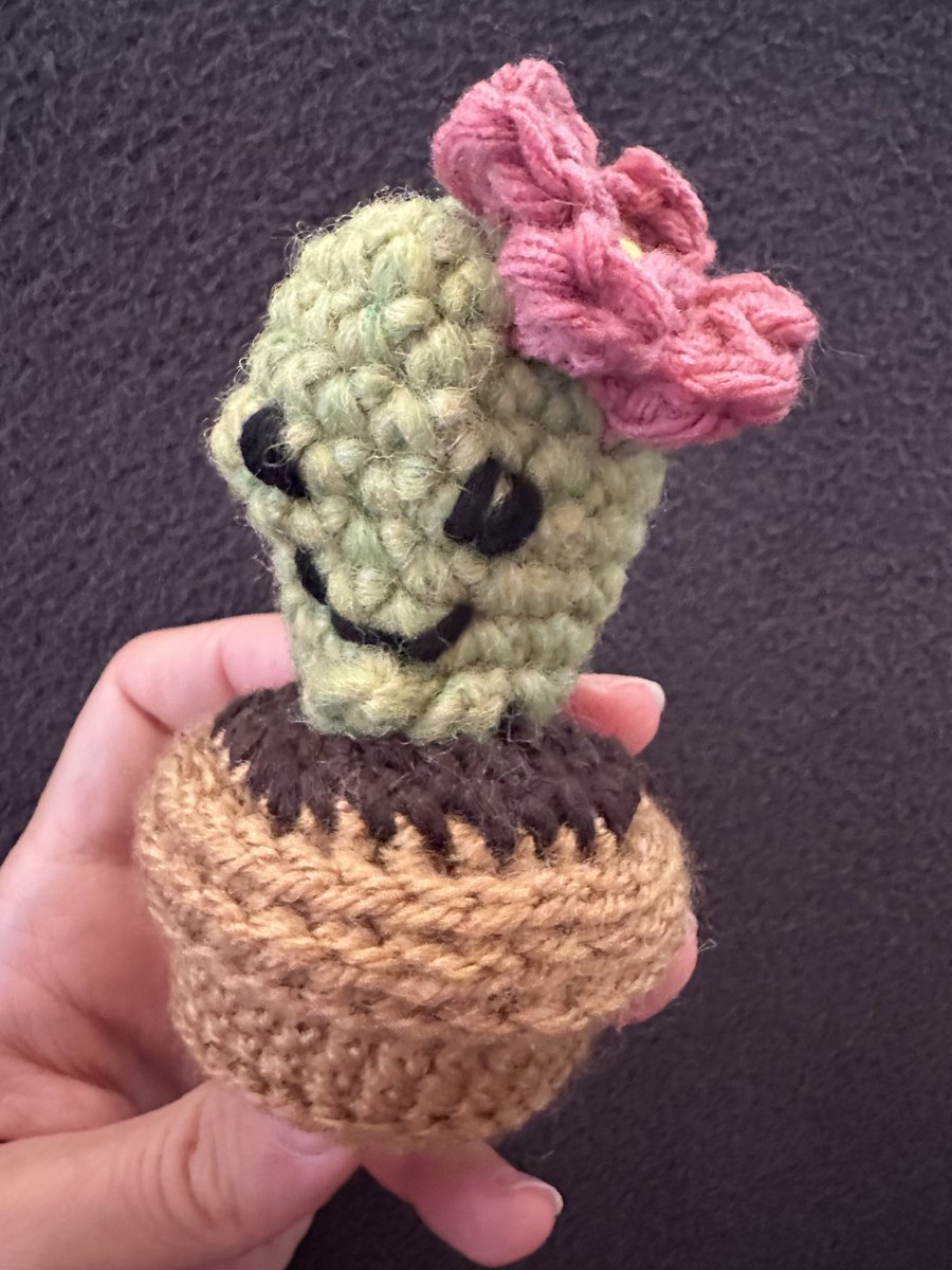 I made a little cactus of the leftover yarn.