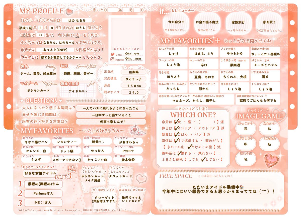 プロフィール帳 8 智生 プロフィール帳 パラライ - メルカリ