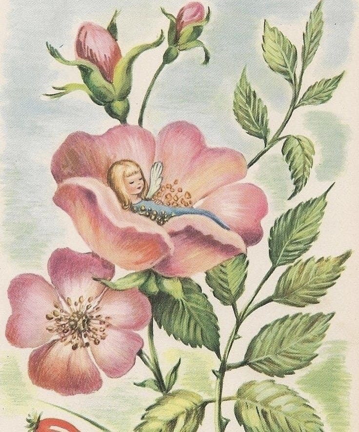 sunday afternoon naps feel like this