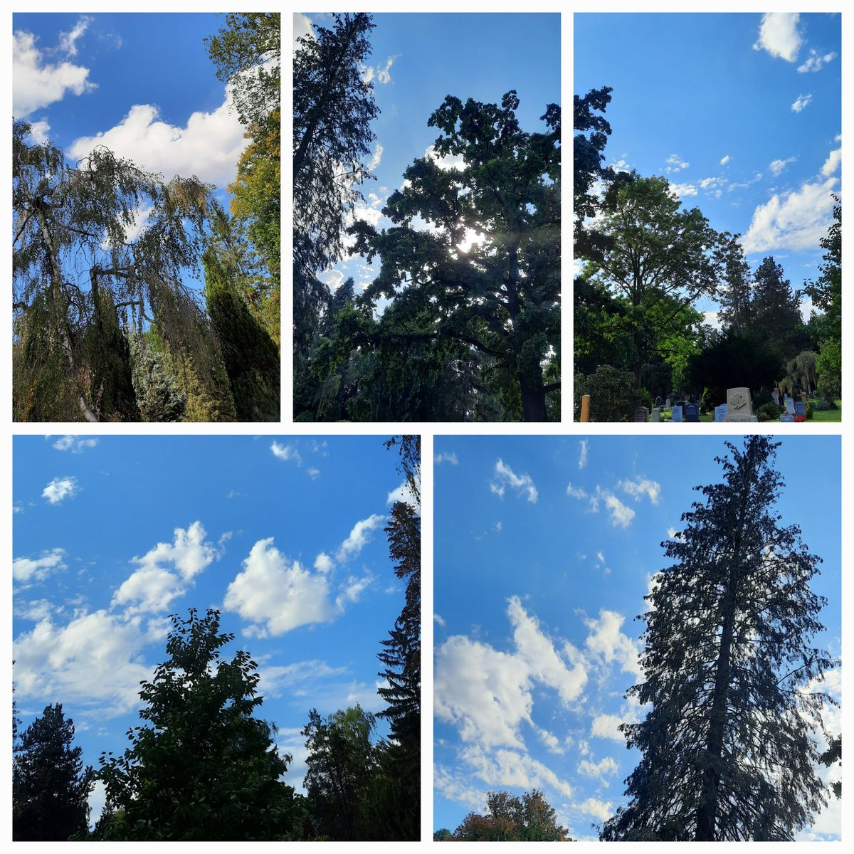 Das heutige Lukasevangelium 16,1-13
endete u.a. damit:
"Wer in den kleinsten Dingen zuverlässig ist, der ist es auch in den großen, und wer bei den kleinsten Dingen Unrecht tut, der tut es auch bei den großen..."
Es lohnt allemal, darüber ernsthaft nachzudenken - auch für mich.