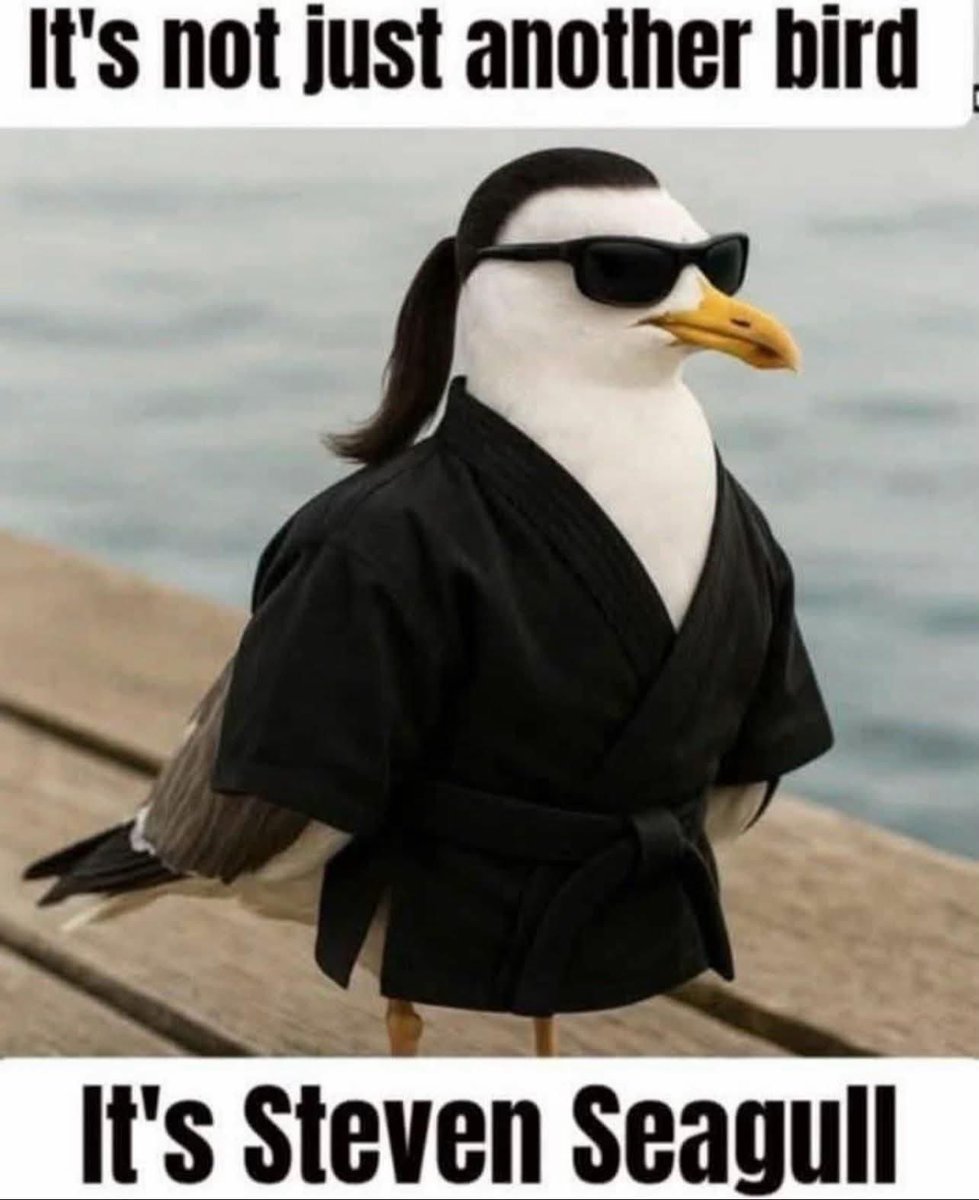 NotYourNormalNarhwall (@nardmywally) on Twitter photo 