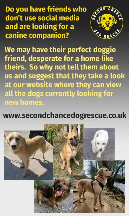 SCD_Rescue's tweet image. PLEASE SHARE.