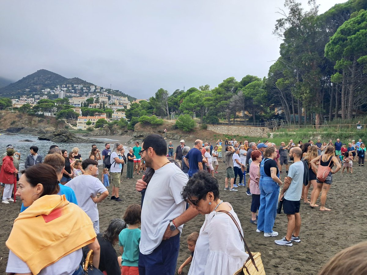 🌲Prop de 300 persones ens hem mobilitzat avui a la Farella per defensar l’última pineda litoral de Llançà.
📢Ja hem assolit més del 50% dels 21.000 € per presentar recurs abans del 3/10.
💚Amb la força ciutadana, salvarem la Farella!
🔗soscostabrava.cat/sos-costa-brav… <a href="/IAEDENSalvemEmp/">IAEDEN - Salvem l'Empordà 🧡</a>